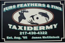 Logo for Furs, Feathers, & Fins Taxidermy Logo for Furs, Feathers, & Fins Taxidermy