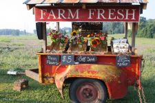 Logo for Wagner’s Farm Market Logo for Wagner’s Farm Market